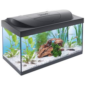 Tetra Starter Line Led | 54L | 60 x 30 x 30CM Aquarium Complete set, alles meegeleverd