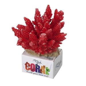 Aqua D'ella Koraal module acropora rood