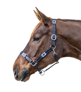 Leren halster voor paarden Waldhausen Polo