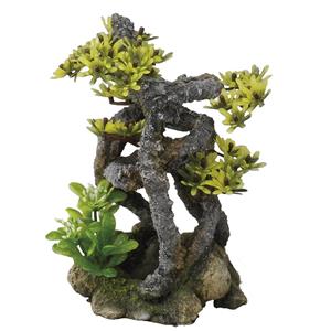 Aqua D'ella Twist Bonsai