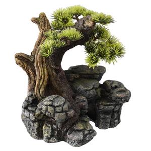 Aqua D'ella Bonsai boom op rots SM