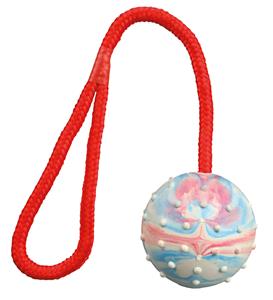 Trixie Rubberen Bal aan Koord ø 7/30 cm