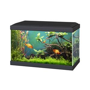 Ciano Aqua 20 Classic | 17L | 40 x 20 x 26CM Zwart Aquarium Geleverd met kap en verlichting