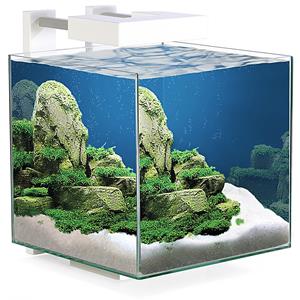 Ciano Nexus Pure 15 LED | 14L | 25 x 25 x 31,5CM Aquarium