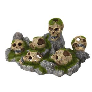 Aqua D'ella Skulls world