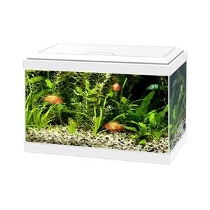 Ciano Aqua 20 LED | 17L | 40 x 20 x 26CM Wit Aquarium Geleverd met kap, verlichting en filter