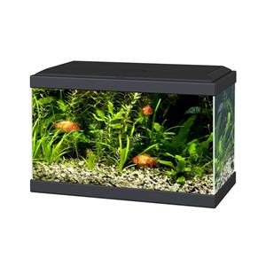 Ciano Aqua 20 LED | 17L | 40 x 20 x 26CM  Zwart Aquarium Geleverd met kap, verlichting en filter