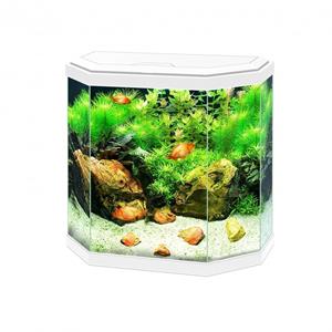 Ciano Aqua 30 LED | 25L | 40 x 20 x 45,5CM Wit Aquarium Geleverd met kap, verlichting en filter