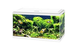 Ciano Aqua 60 LED CF150 | 58L | 60 x 30 x 33CM Wit Aquarium Complete set, alles meegeleverd