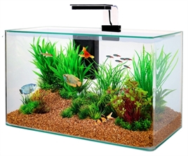 Zolux Clear kit | 32L | 50 x 25 x 38CM Zwart Aquarium Geleverd met afdekplaat, filter en verlichting