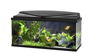 Ciano Aqua 80 LED CF150 | 71L | 80 x 30 x 41,5CM Zwart Aquarium Complete set