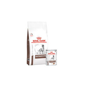 Royal Canin Gastro Intestinal hond Combi bundel - 15 kg + 12 x 400 gr
