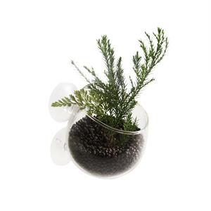 Aqua D'ella Plant cup glas Transparant