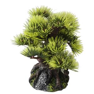Aqua D'ella Bonsai plant 9,5 cm