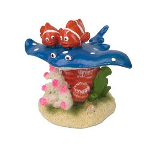 Aqua D'ella Vis met Nemo
