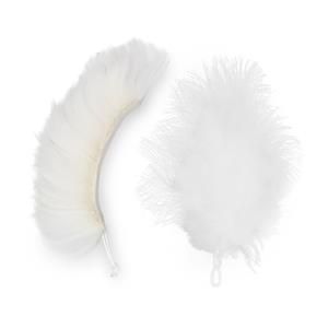 2 Hangers voor Kater Kasimir Kattenhengel met Veren Kat