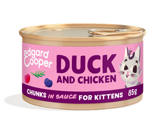 Cat kitten chunks duck/chicken 85g - Edgard cooper