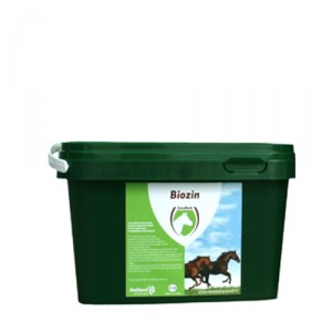 Excellent Biozin Paard - 1 kg