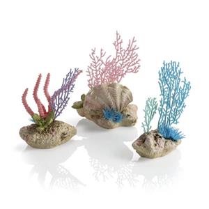 BiOrb koraalventilatoren en schelpen set