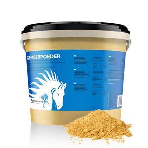 Gember paard 1000 gram