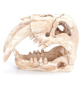 Nobleza Aquariumdecoratie - Schedel - 14 cm