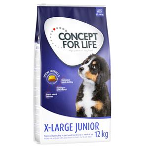 12kg Concept for Life X-Large Junior Hondenvoer droog