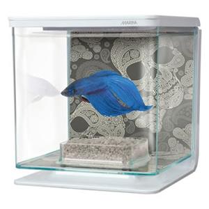 Marina Betta kit doodskop | 2L | 15 x 15 x 15CM Aquarium