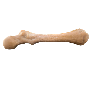 Pet Qwerks Boar BarkBone Porkchop XL