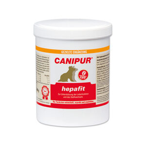 Canipur hepafit