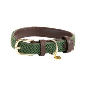 Kentucky Dogwear Hundehalsband geflochten Nylon > grün