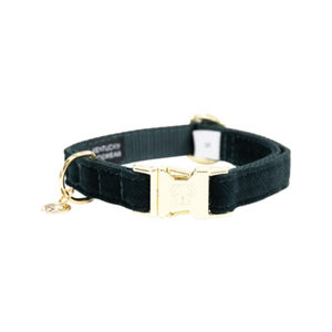 Kentucky Dogwear Corduroy Hundehalsband > pine