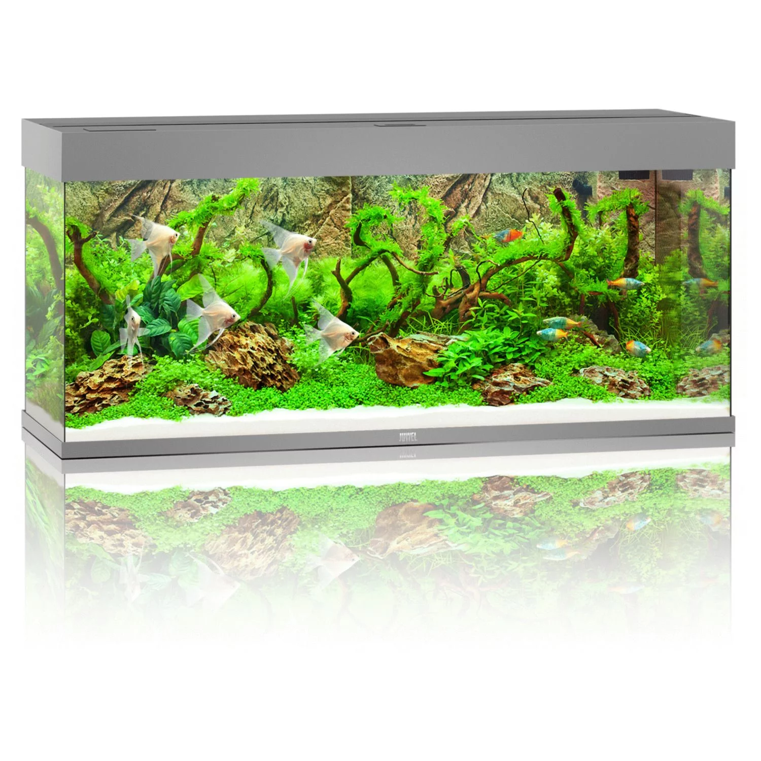 Juwel Rio 240 LED | 240L | 121 x 41 x 51CM Grijs