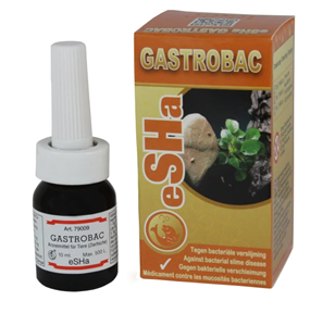 Gastrobac