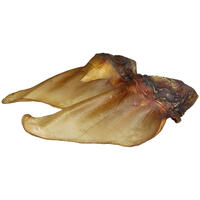 Runderoren met schelp