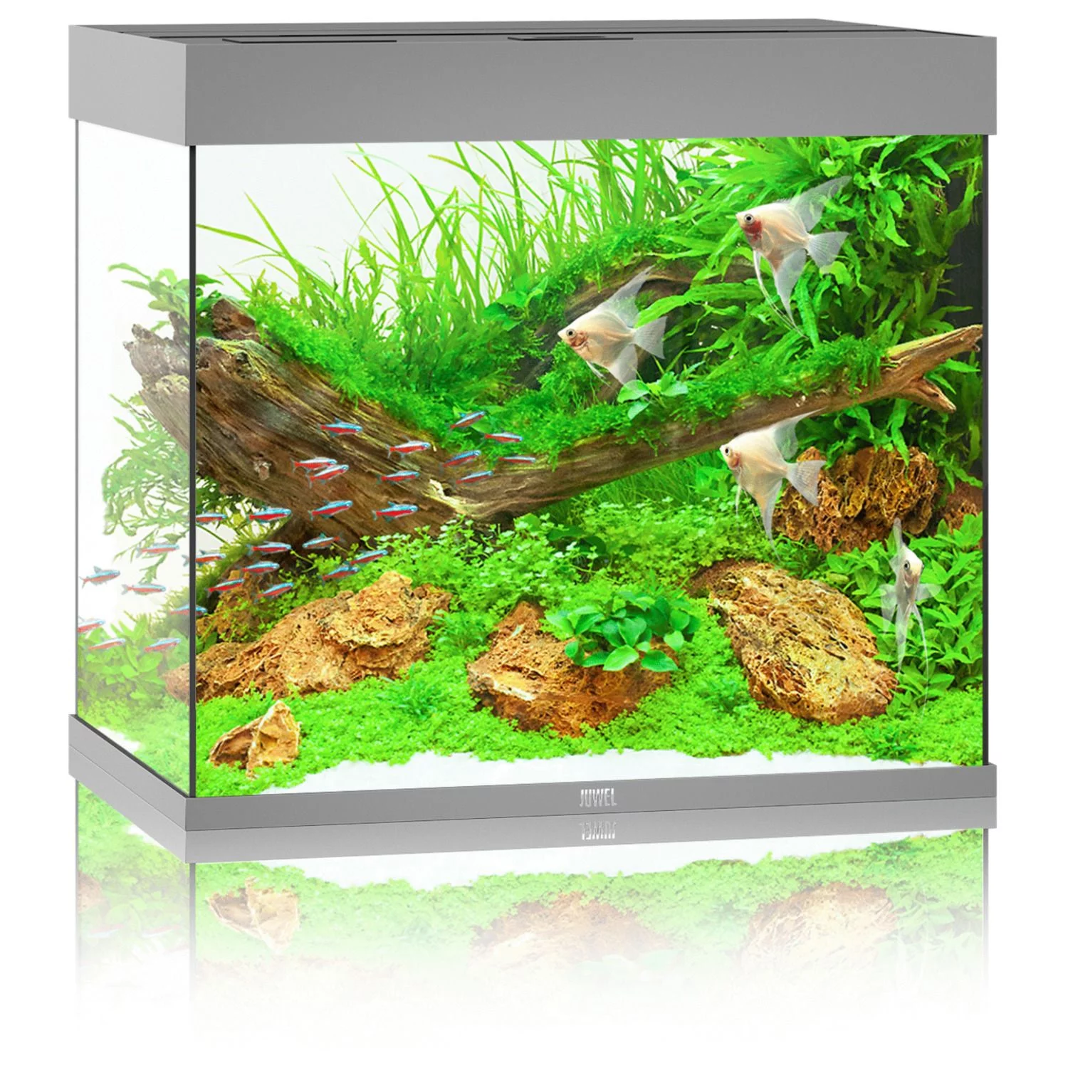 Juwel Aquarium Lido 200 Led 71x51x65 cm - Aquaria - Grijs Ca. 200 L