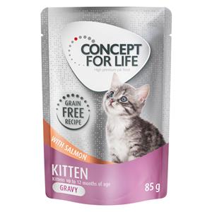 Concept for Life Kitten zalm graanvrij - in saus Kattenvoer - 24 x 85 g
