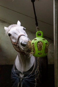 Jolly Hay Ball groen 20 cm