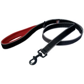 Kurgo Springback leash