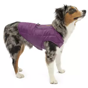 Kurgo Hondenjas Loft Jacket Paars