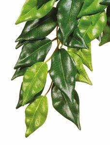 Exo Terra Ficus Medium