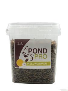 pondpro Pond Pro Meelwormen 2,5L - Eiwitrijk Voer voor Koi, Schildpadden en Kippen, Bevordert Groei en Vitaliteit