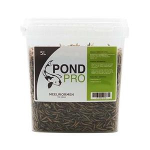 pondpro Pond Pro Meelwormen 5L - Eiwitrijk Voer voor Gezonde Koi, Schildpadden & Kippen