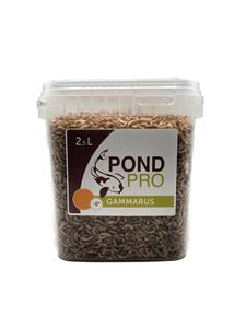 pondpro Pond Pro Gammarus Koi Snack - 5L Emmer Hoogwaardig Eiwitrijk & Kleurversterkend Voer