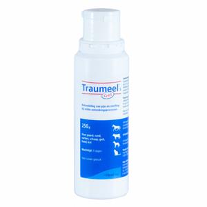 Hofman Traumeel Gel 250g