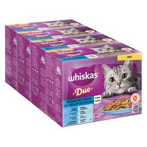 Whiskas Gemengd pakket  Duo Portiezakjes 48 x 85 g - Ocean Delights in Gelei