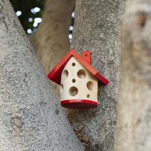 Kikkerland Ladybug Lieveheerstbeestjes huis