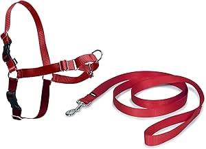 Petsafe Easy Walk Harnas Rood Small
