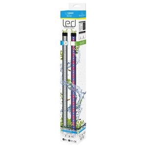 Ciano LED CLA60 Kleur