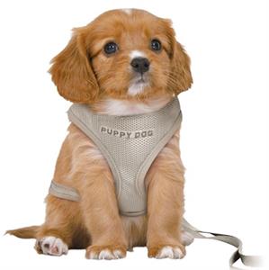 Trixie Junior Puppy Soft Harness with Lead M-L: 36-50cm/10mm 2m. light grey