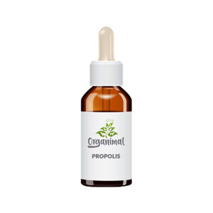 Organimal Propolis - Hund & Katze - 15 ml